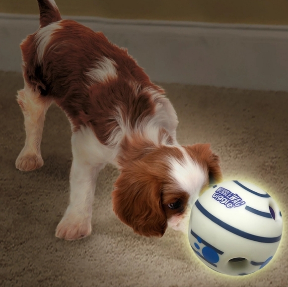 All Star Innovations Wobble Wag Giggle Glow in the Dark Interactive Dog Toy - Picture 5 of 7